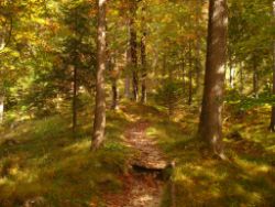 2013-10-08_Guffert (007).JPG